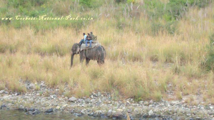 Corbett National Park