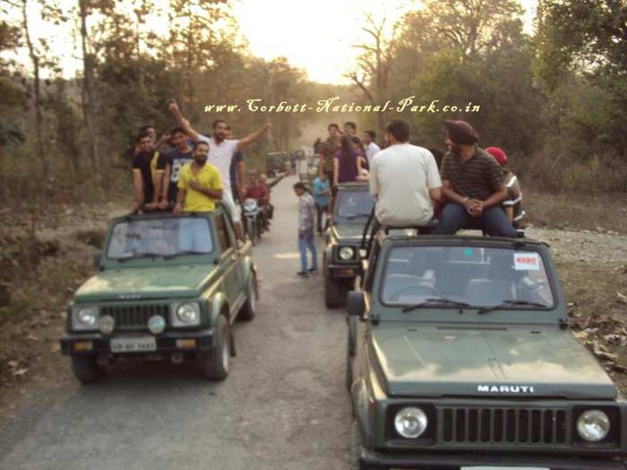 Jeep Safari Corbett National Park