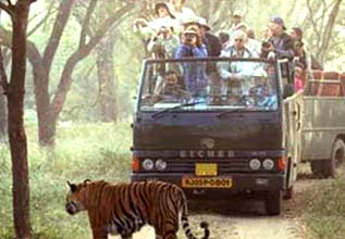 JIM CORBETT NATIONAL PARK