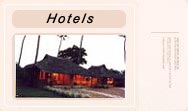 Hotels - Resorts in Corbett National Park