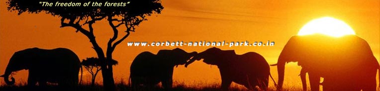 General Information about Corbett National Park - Corbett Tiger Reserve